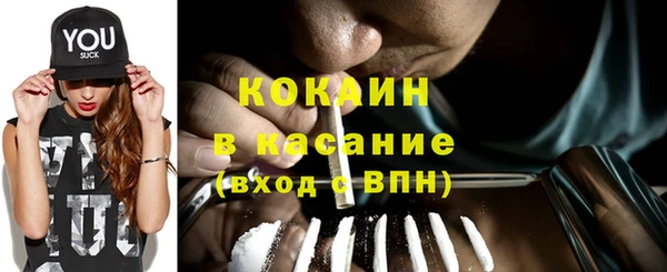 стаф Алзамай